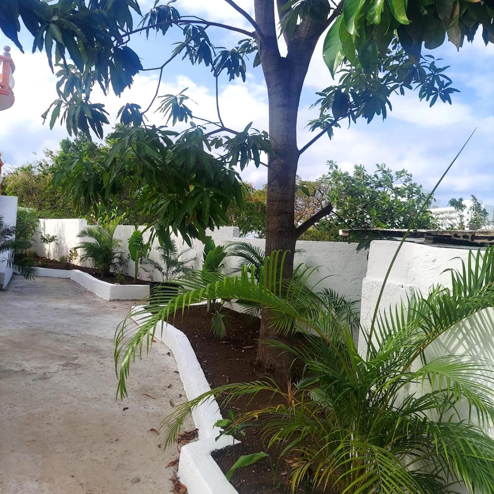 Cas Bed And Breakfast Corral Spring Exterior foto